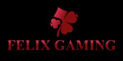 Игровые автоматы Felix Gaming - играть бесплатно