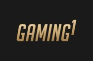 Игровые автоматы Gaming 1