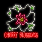 Cherry Blossoms - игровой автомат NextGen