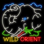 Wild Orient - игровой автомат Microgaming