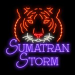 Sumatran Storm - игровой автомат IGT